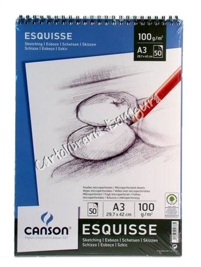 Blocco Schizzi Esquisse A3 Canson