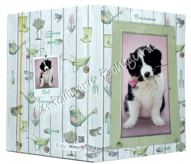 Cartella Portadisegni Verde Woody Colour Rachael Hale