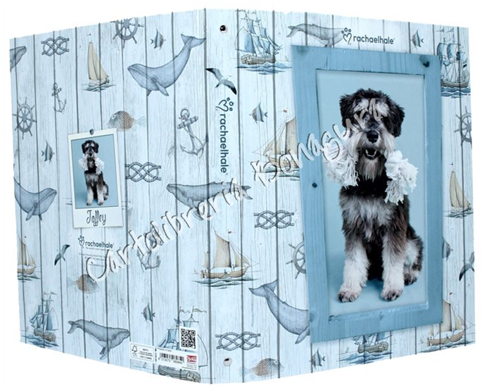 Copertina Ad Anelli Azzurro Woody Color Rachael Hale