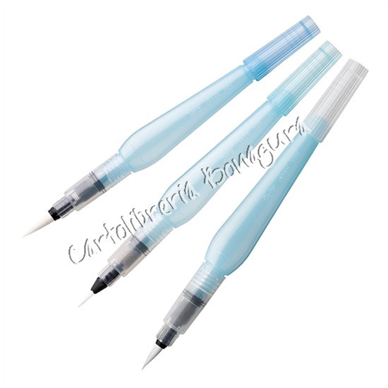 Penna Aquash Brush Punta Fine Arts Pentel
