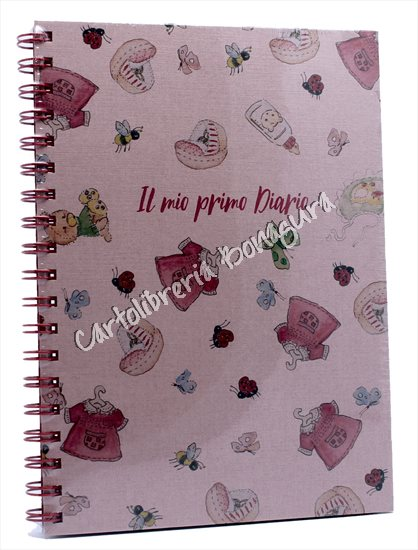 Il Mio Primo Diario Rosa Alfabet