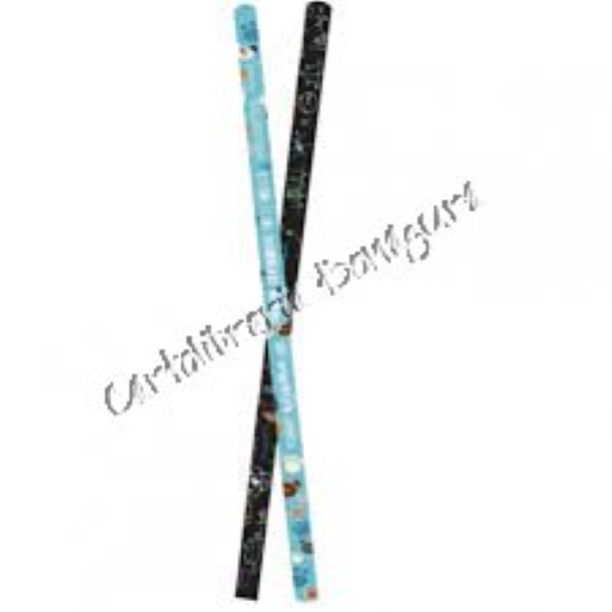 Matita Evolution Decor Bic