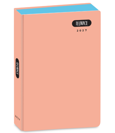 Diario Pocket 16M Arancione Pastello Teenace