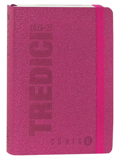 Agenda 13M Day Mini Magenta VS Yourself U Comix