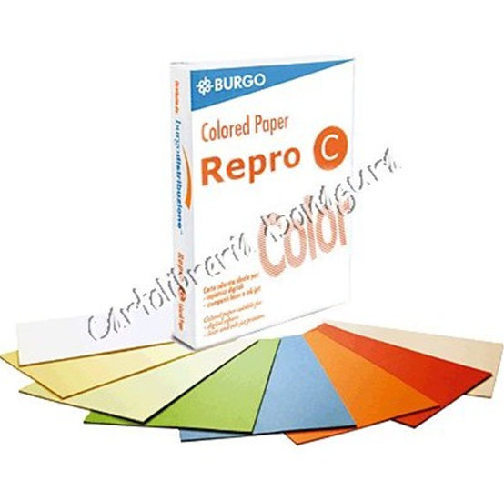 Cartoncino A4 Repro C 160gr (conf. 250ff) Burgo