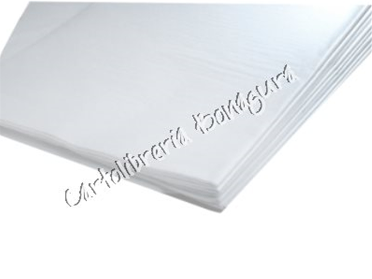 Foglio Cartamodello 100x140cm Bianca