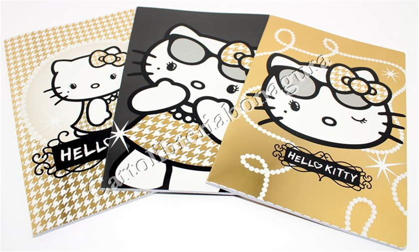 Quad. Maxi Rig. 1 Rigo Senza Margine Per 4-5 elementare medie e superiori Hello Kitty Diva