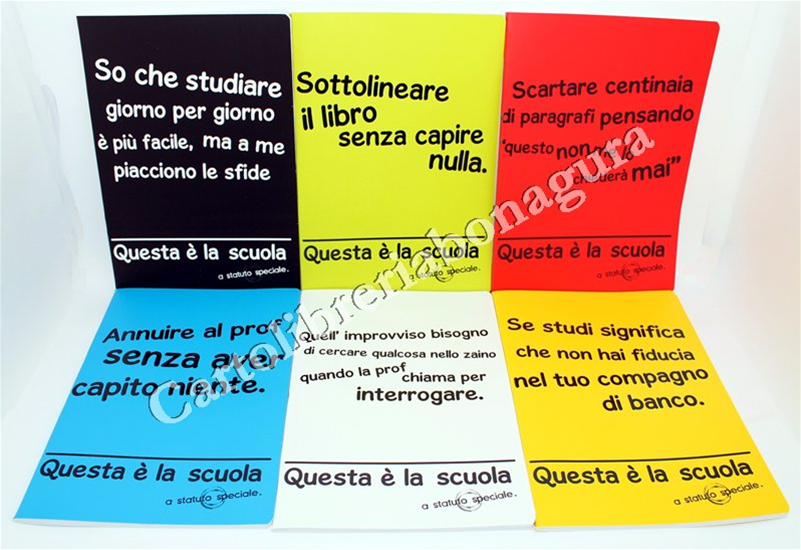 Quad. Standard Rig. Q - Quadretti Con Margine Per 3-4-5 elementare medie e superiori Scuola Zoo Collage